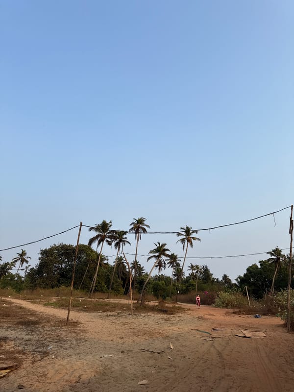 Street scenes documented along palm-lined roads in Arambol