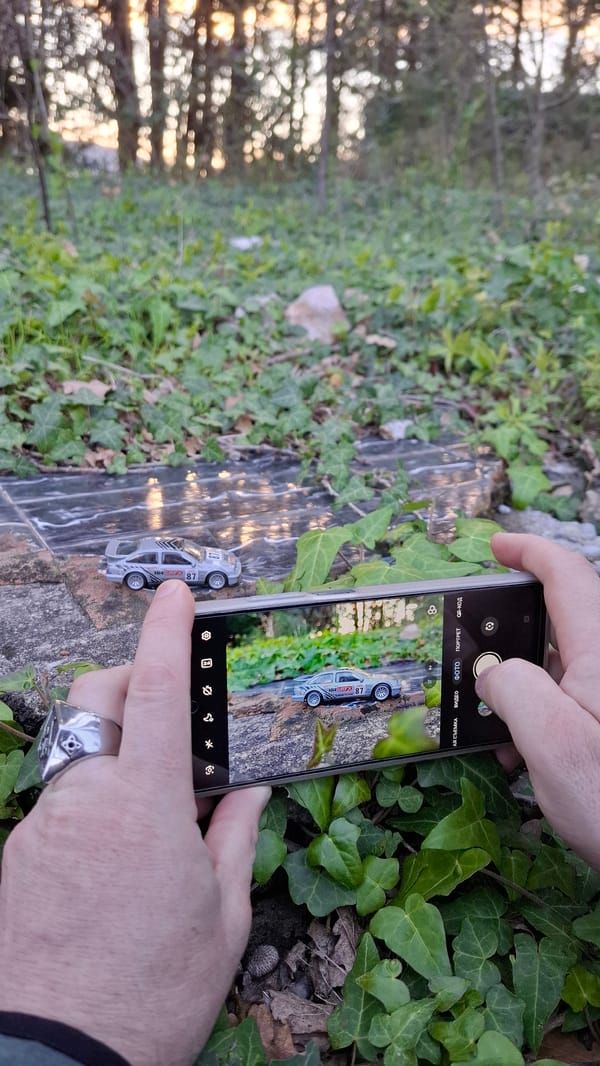 Casual photography and cat sighting captured near stone structures
