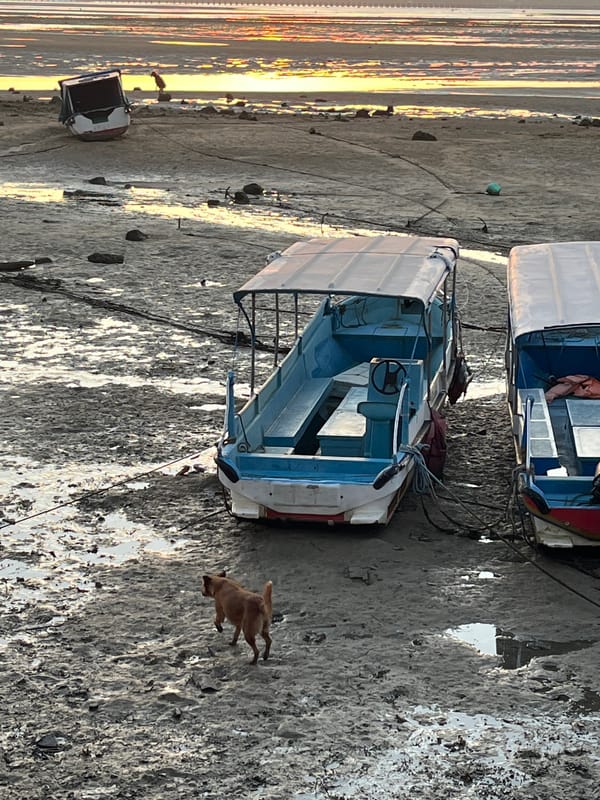 Sunset gathering draws observers to Kuta Selatan tidal flats