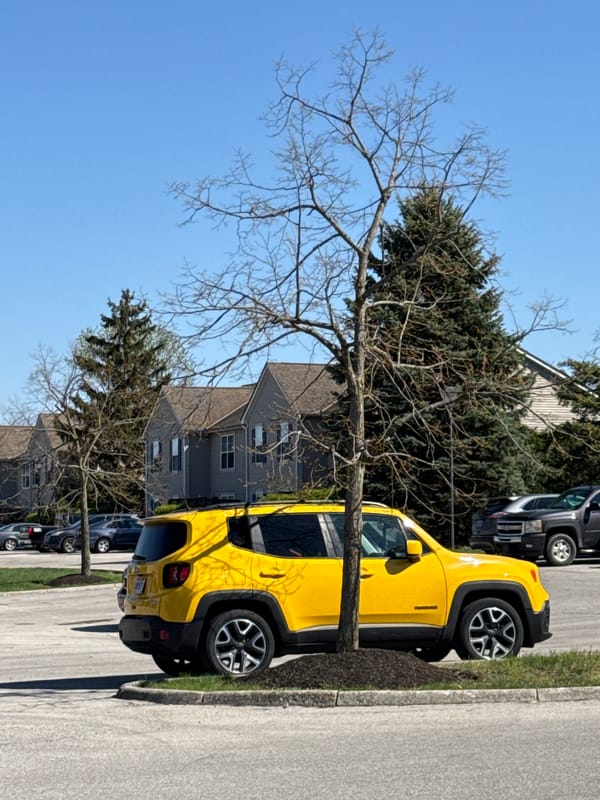 Yellow Jeep spotted parked on Columbus residential street