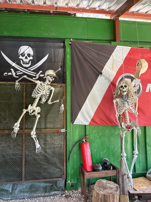 Halloween display spotted on shipping container in Lukovit, Bulgaria