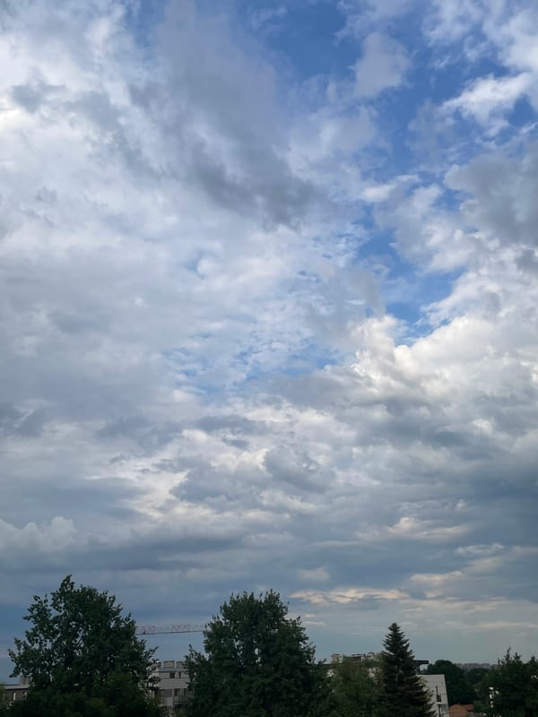 Dramatic Storm Clouds Gather Over City, One Cat Spotted