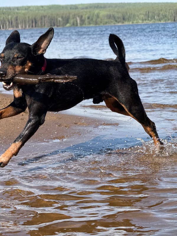 Families enjoy beach activities in Chaikovsky, Russia