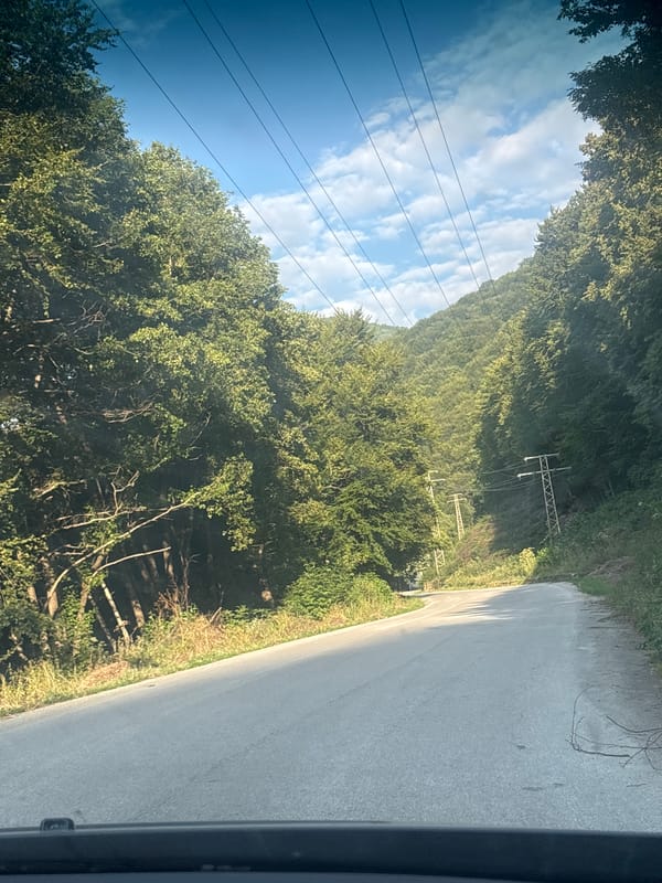 Winding through forested mountain roads on a summer afternoon