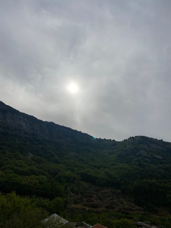 Morning walk through Budva captures spring flowers, local pets