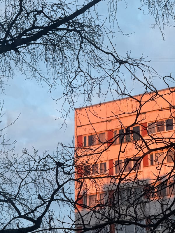 Quiet Sunday afternoon moments captured across Saint Petersburg