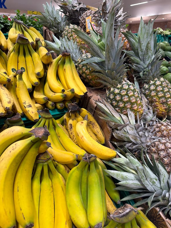 Browsing a retail store — produce, bakery, toys, and fashion