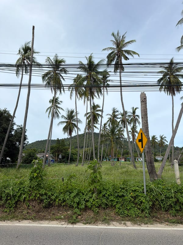 A relaxed Ko Samui morning — streets, cats, sunsets, and island arrivals