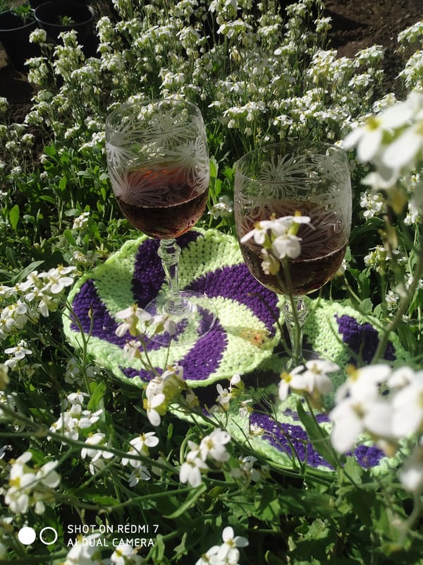 Wine glasses photographed amid white flowers in Ochansk