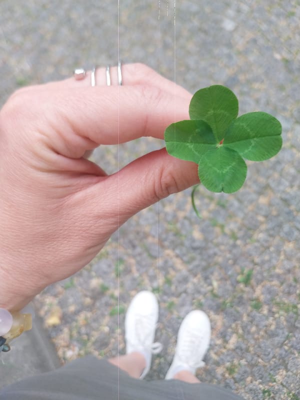 Berlin resident finds four-leaf clover, documents street murals
