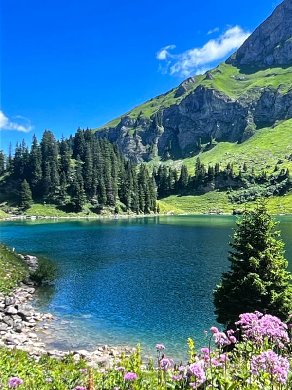 Alpine lake and garden mugs on a clear afternoon