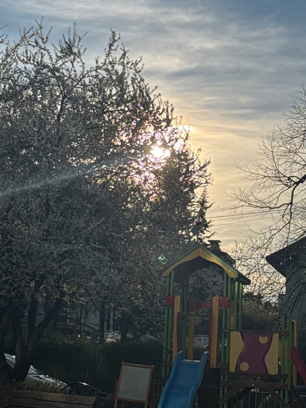 Spring playground scene documented in Sofia backyard setting