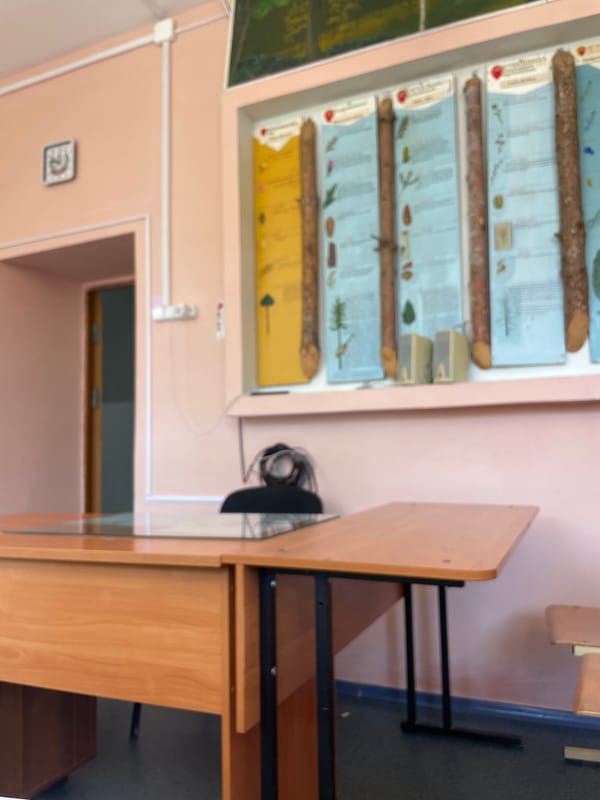 Morning classroom session documented in Krasnye Baki, Russia