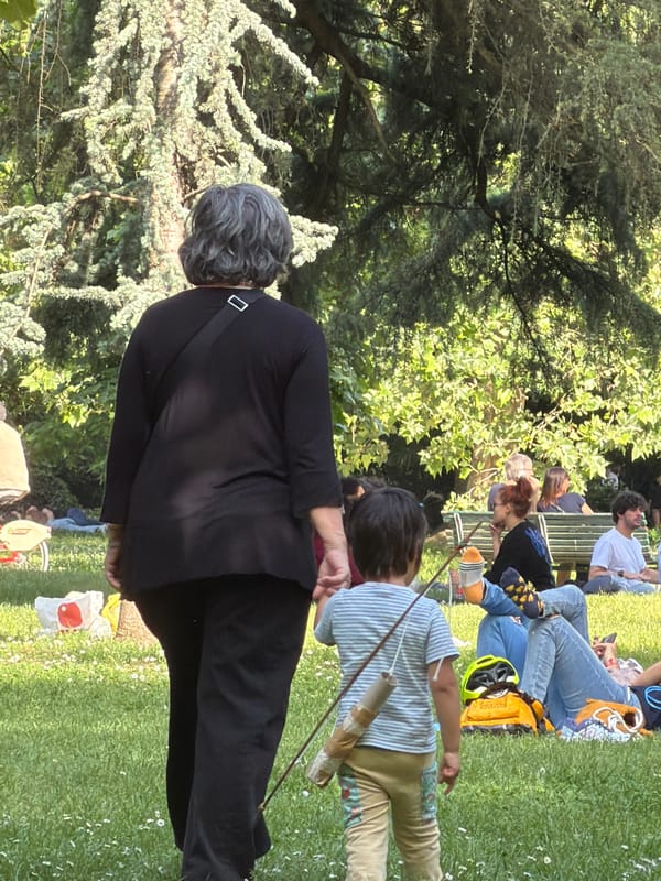 Afternoon leisure activities observed in Milan park