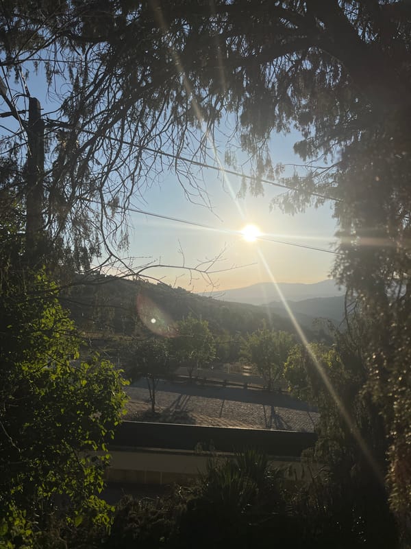 Spring afternoon scenes captured across Vila Real, Portugal vineyards
