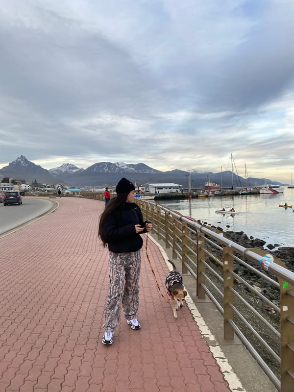 Evening life documented along Ushuaia waterfront and harbor district