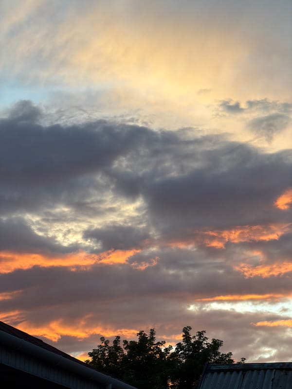 Vivid summer sunset over a Qarağandı neighborhood