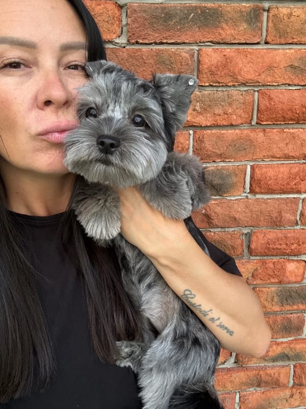 Afternoon with a fluffy grey dog in Chaikovsky