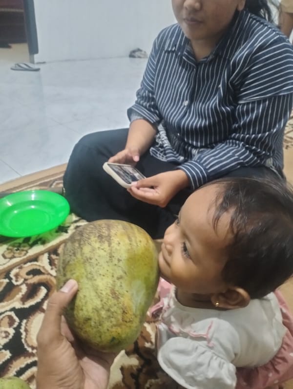 Mango sharing and preparation scenes in Lhokseumawe, Indonesia