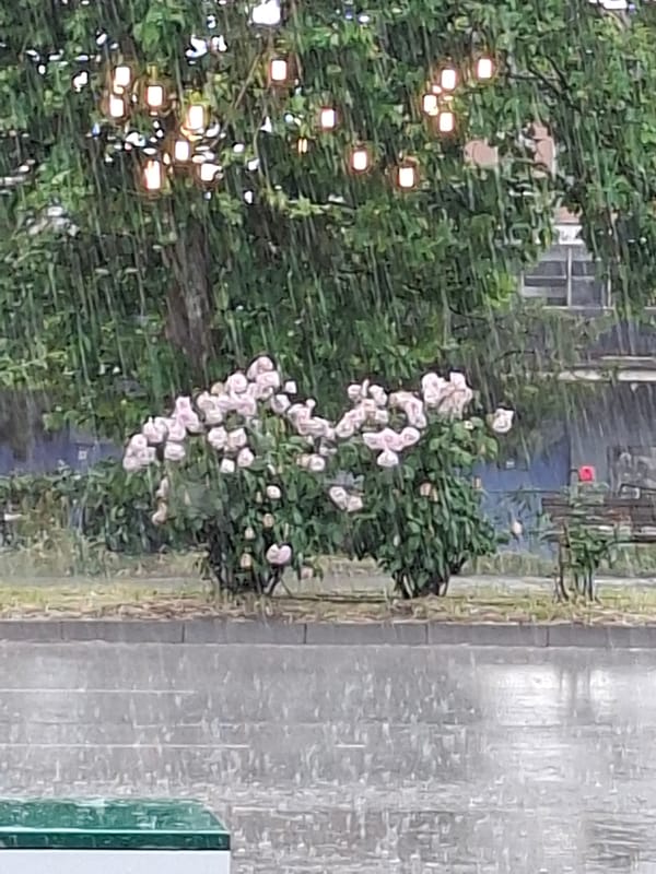 Heavy rain drenches Plovdiv streets, parking lots during afternoon storm