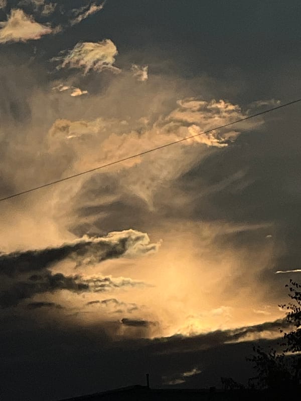 Sunset skies and blooming flowers in Chaikovsky, Russia
