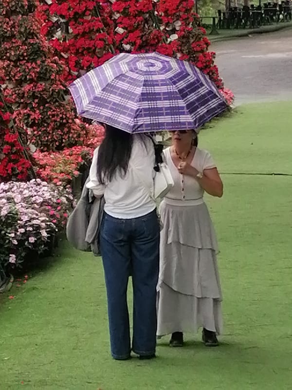 Morning outdoor gatherings observed in Da Lat flower gardens