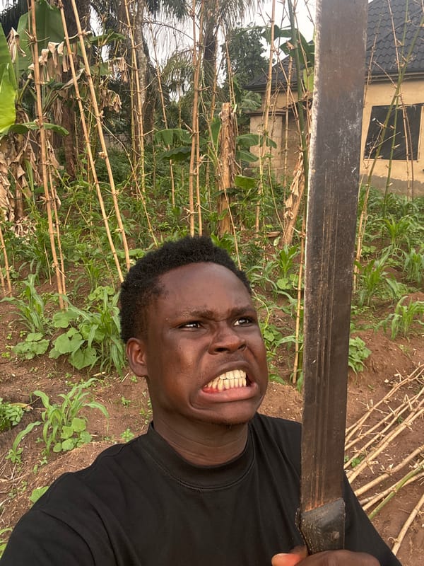 Daily life scenes captured in Aboh, Nigeria afternoon