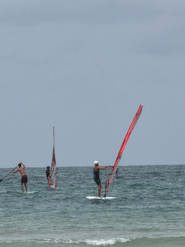 Water sports activity and beetle sighting reported in Tel Aviv