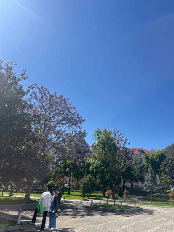 Spring morning scenes documented across central Plovdiv, Bulgaria