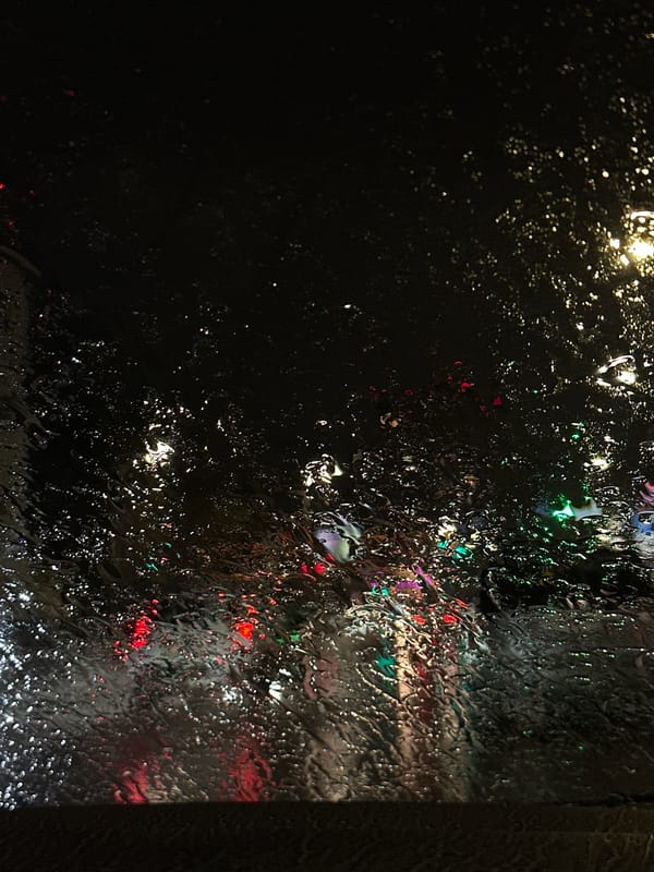 Rainy urban evening observed through windows amid autumn foliage