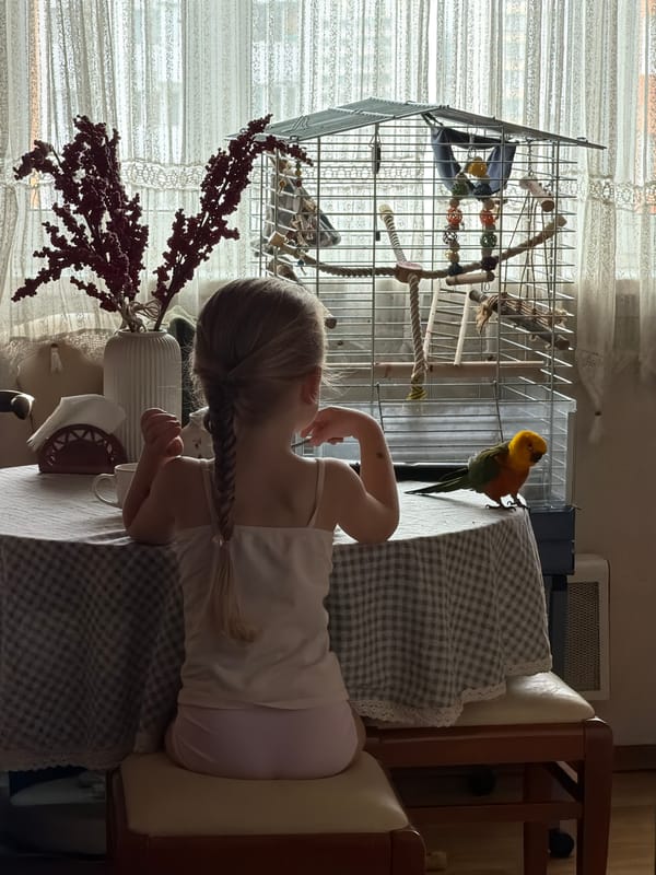 Early morning in Khimki: breakfast inside, flowers and streets outside