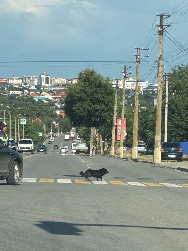 Driving through Dorozhny, Russia on a quiet summer afternoon