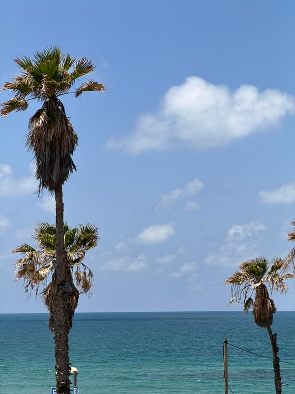 Tel Aviv Morning: Coastal Views, Cooking, Street Deliveries