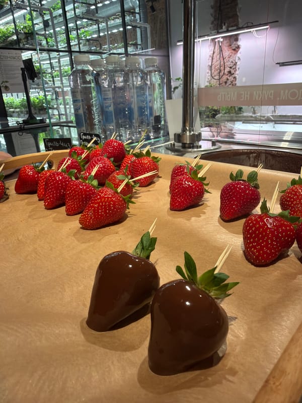 Chocolate-dipped strawberries made fresh in Saint Petersburg