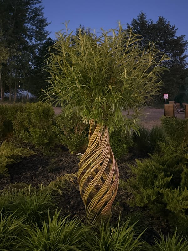 Evening documentation of public art installations in Minsk