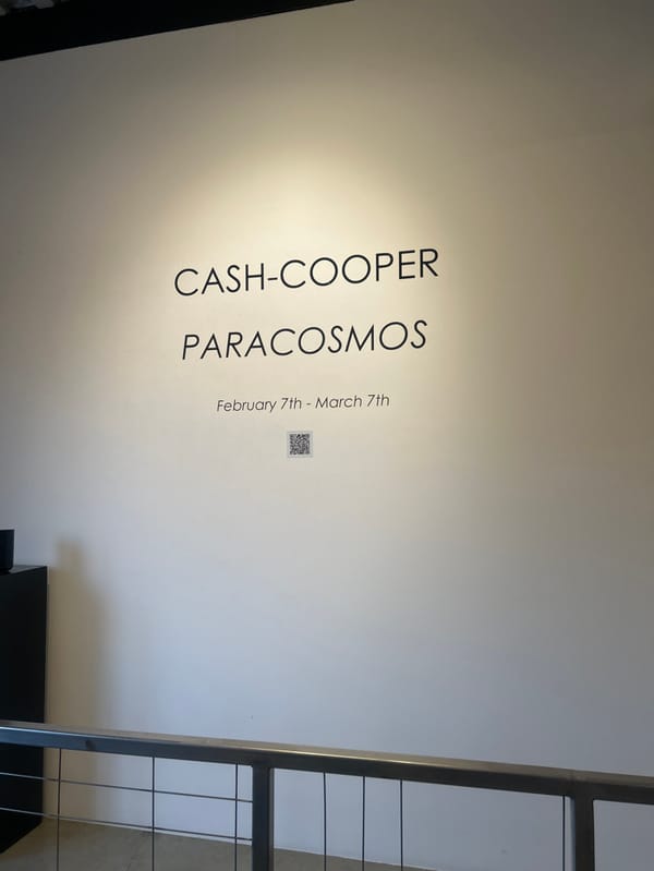 Late-night documentation of PARACOSMOS art exhibition in Los Angeles