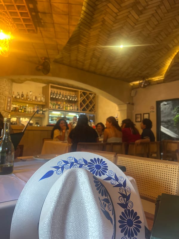Bar interior featuring sombrero and taxidermied rhino head documented