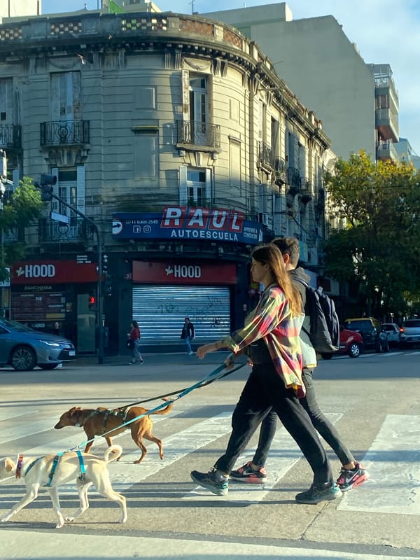 Two pedestrians cross Buenos Aires street with three dogs