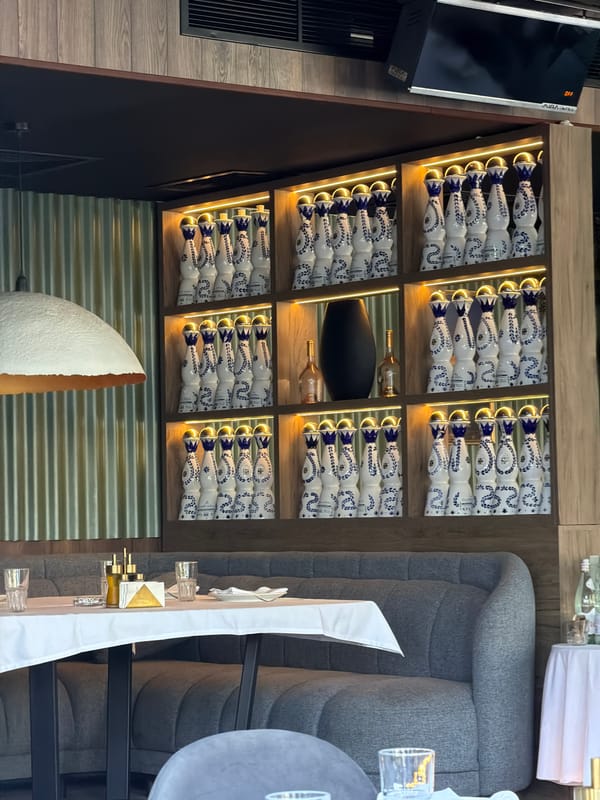 Inside a high-end Sofia bar with champagne displays and eccentric décor