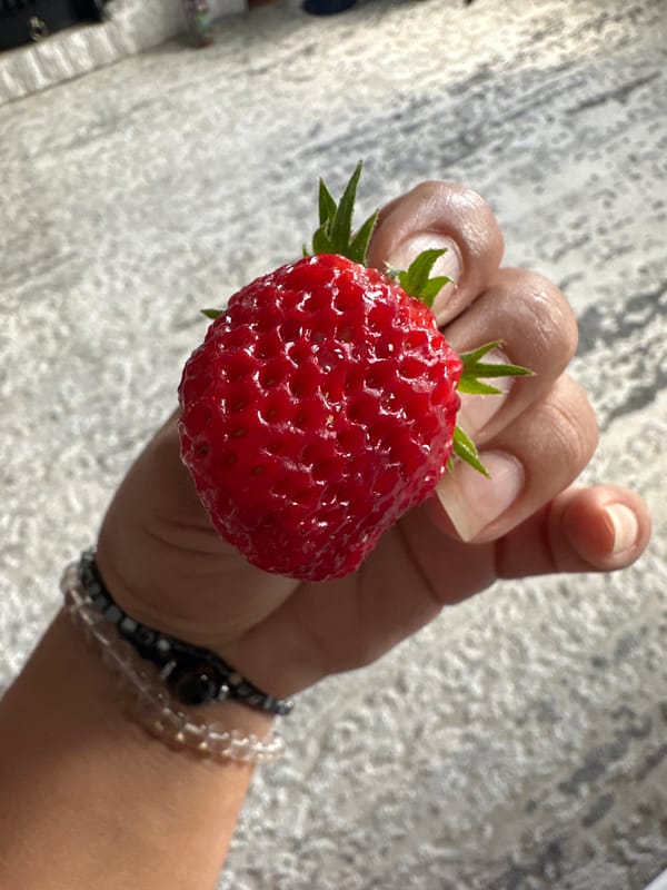 Hillside walk with wildflowers, cats, and strawberries at home