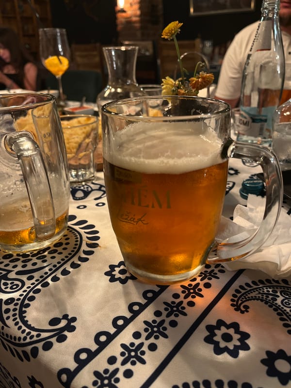 Dinner at a Georgian restaurant, Staré Tbilisi
