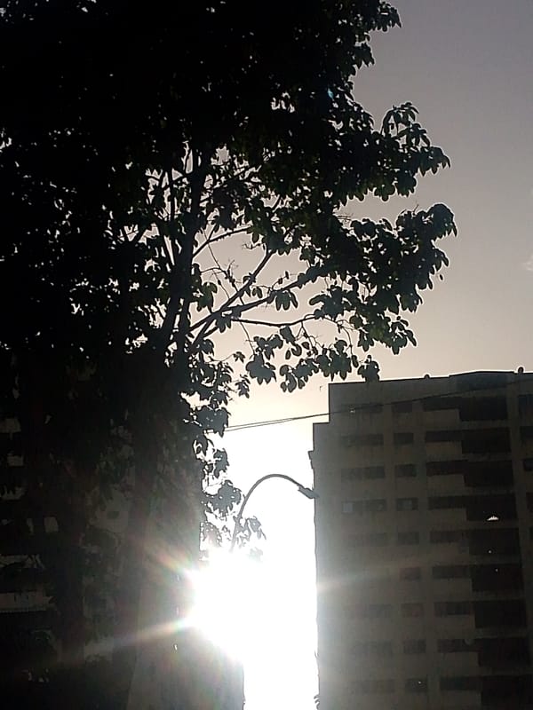Evening street scenes documented across Caracas neighborhoods