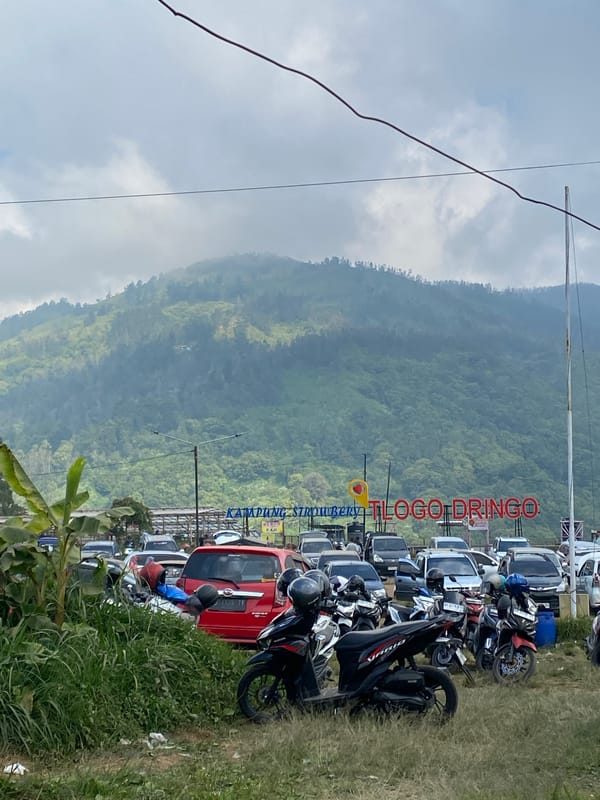Motorcycles, deer, and mountain scenery at Gondosuli