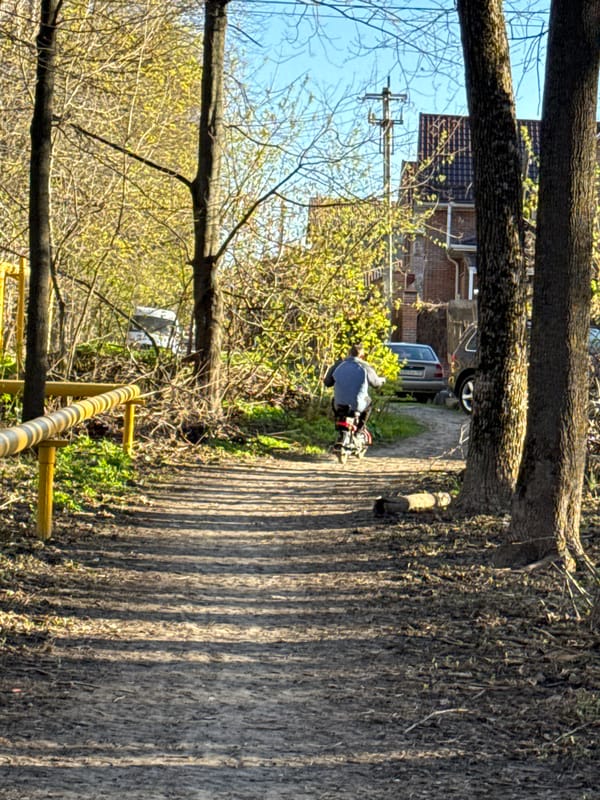 Sunny day park path documented in Rostov-on-Don