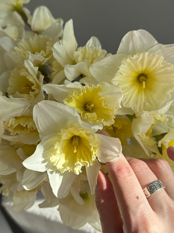 Spring flower arrangements photographed in Moscow indoor setting