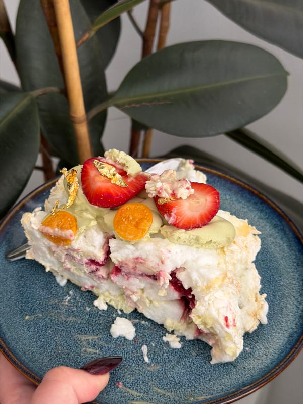 Elaborate meringue dessert documented in Ramat Gan weekend outing