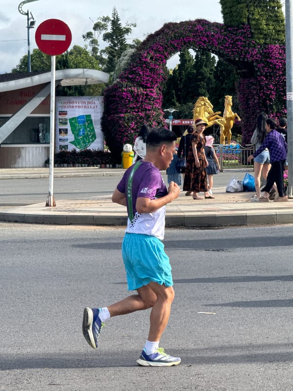 Golden dragons and horses fill Đà Lạt's decorated Lâm Viên Square