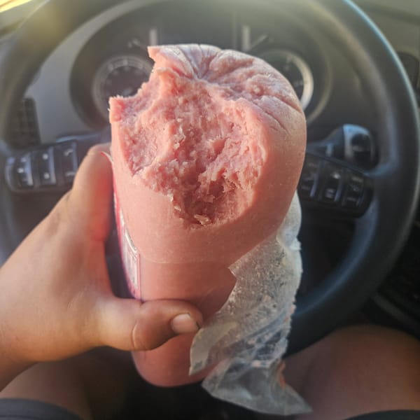 Road trip snack: bologna straight from the wrapper, Spain
