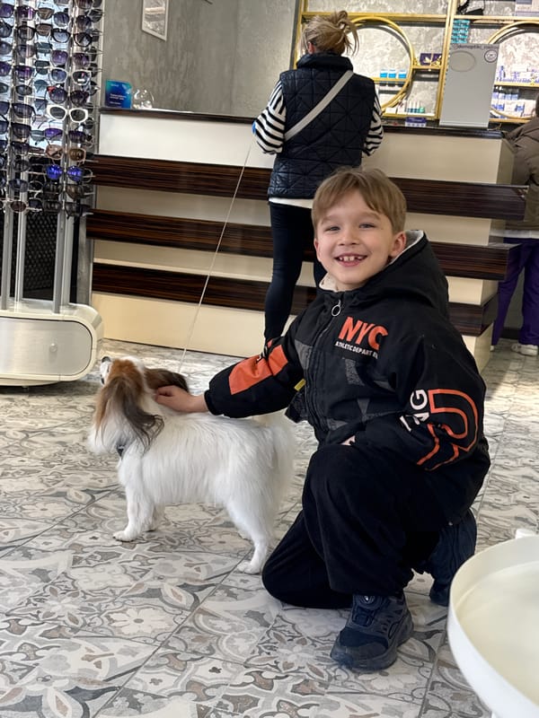 Boy plays with Papillon dog in Ovoshchnoy building
