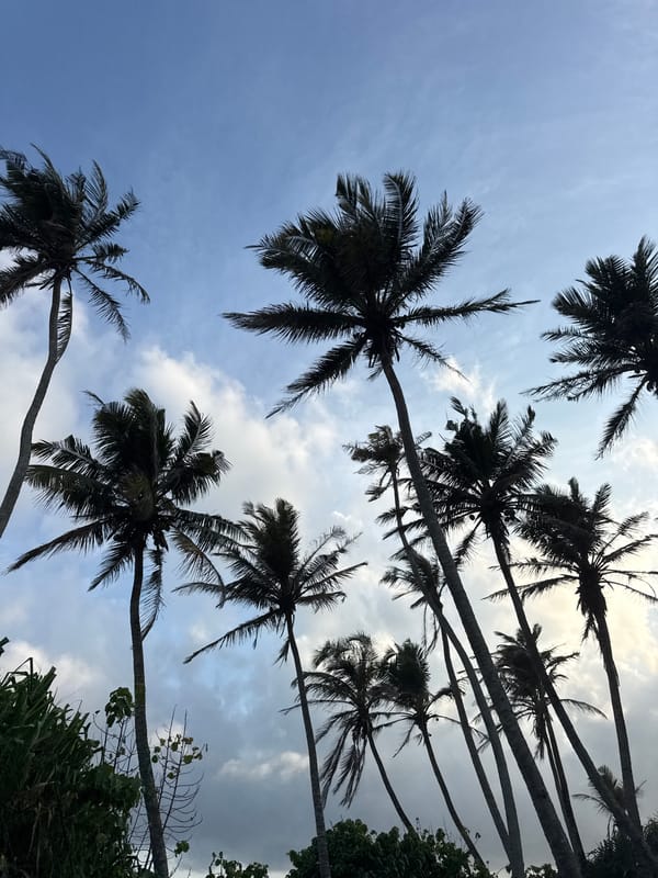 Street traffic and coastal scenery along Ahangama's main road